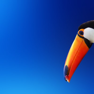 1920 x 1080 HD Wallpapers 2138